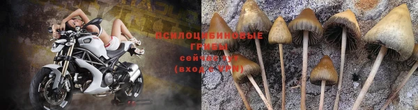 ПСИЛОЦИБИНОВЫЕ ГРИБЫ Алексеевка