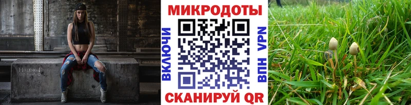 Псилоцибиновые грибы Psilocybe  где продают наркотики  Курск 